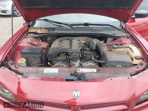 2008 Dodge Charger SXT with VIN 2B3KA33GX8H310066, listed as a IAAI auction lot 43025130 with 162,029 mi miles and . Bid and sale history available at DreamBid. Image 10.