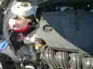 2023 Kia Sorento S с VIN 5XYRL4LC4PG248882, выставлен на аукционе Copart как лот 70840555 с пробегом 34 779 миль миль и Списание • Salvage title. История ставок и продаж доступна на DreamBid. Изображение 16.