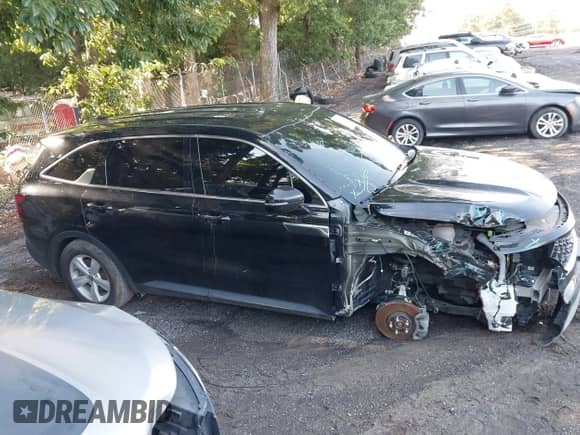 2023 Kia Sorento LX with VIN 5XYRG4LC5PG175624, listed as a IAAI auction lot 42740712 with 53,342 mi miles and . Bid and sale history available at DreamBid. Image 13.