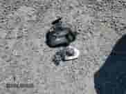 2017 Jeep Compass Sport with VIN 3C4NJDAB3HT629342, listed as a Copart auction lot 66046925 with 87,939 mi miles and Salvage title. Bid and sale history available at DreamBid. Image 13.