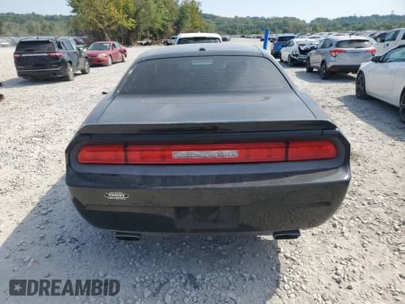 2014 Dodge Challenger R/T with VIN 2C3CDYBT1EH249826, listed as a Copart auction lot 80354575 with Not provided miles and Salvage title. Bid and sale history available at DreamBid. Image 6.
