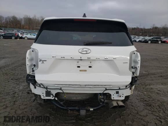 2020 Hyundai Palisade Limited z VIN KM8R5DHE7LU172096, wystawiony jako Copart lot #45697794 z przebiegiem 57 869 mil mil oraz . Historia ofert i sprzedaży dostępna na DreamBid. Obrazek 6.