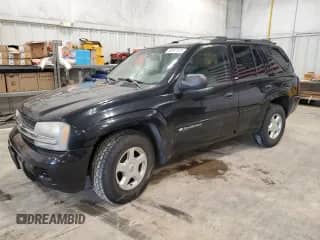 2002 Chevrolet TrailBlazer LS with VIN 1GNDT13S222266789, listed as a Copart auction lot 58767475 with 207,172 mi miles and Non repairable. Bid and sale history available at DreamBid. Image 1.