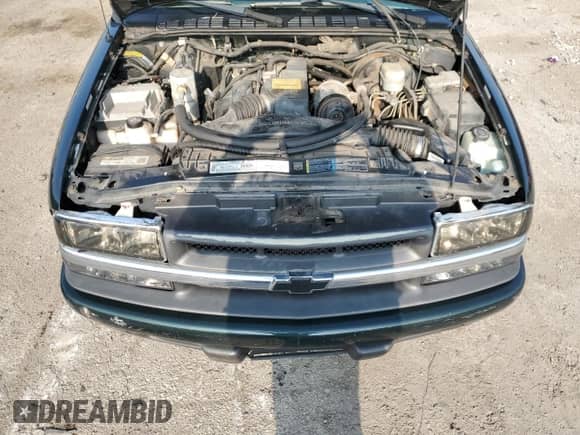 2002 Chevrolet S-10 LS z VIN 1GCCS195428118097, wystawiony jako Copart lot #69187355 z przebiegiem 104 416 mil mil oraz Szkoda całkowita • Salvage title. Historia ofert i sprzedaży dostępna na DreamBid. Obrazek 11.