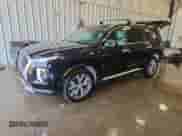 2022 Hyundai Palisade SEL с VIN KM8R4DHE7NU381747, выставлен на аукционе Copart как лот 80746995 с пробегом 41 881 миль миль и Списание • Salvage title. История ставок и продаж доступна на DreamBid. Изображение 1.