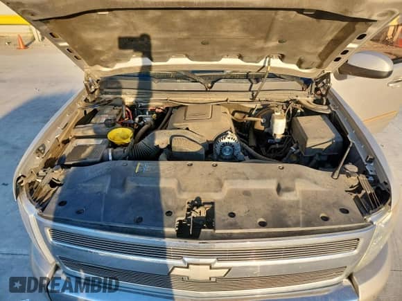 2008 Chevrolet Silverado 1500 1LT with VIN 2GCEC13J981164161, listed as a Copart auction lot 82435545 with 193,832 mi miles and Salvage title. Bid and sale history available at DreamBid. Image 11.