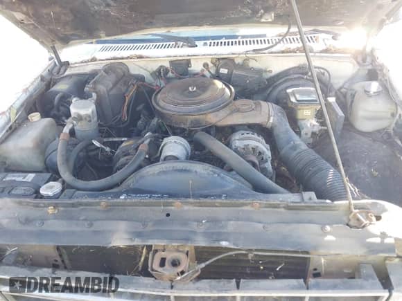 1989 Chevrolet S-10 z VIN 1GCCS14ZXK8171283, wystawiony jako IAAI lot #40865531 z przebiegiem 79 480 mil mil oraz . Historia ofert i sprzedaży dostępna na DreamBid. Obrazek 10.