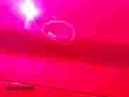 2009 Chevrolet Silverado 1500 LT with VIN 1GCEK29039Z196488, listed as a IAAI auction lot 43234591 with 194,005 mi miles and . Bid and sale history available at DreamBid. Image 6.