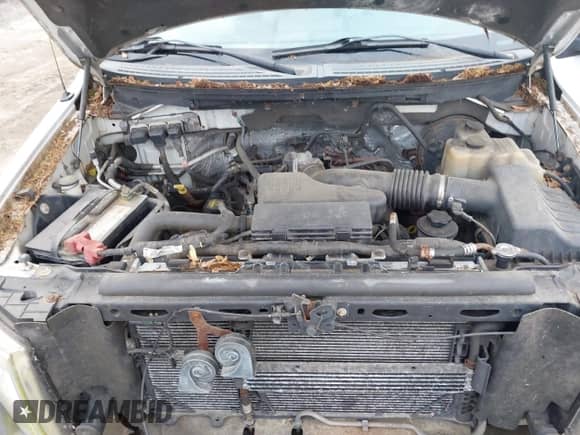 2009 Ford F-150 XL with VIN 1FTRF14W29KB57895, listed as a IAAI auction lot 41901281 with 233,792 mi miles and . Bid and sale history available at DreamBid. Image 10.