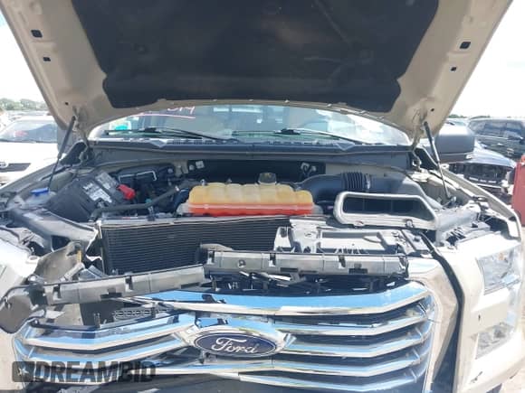 2017 Ford F-150 XL z VIN 1FTEW1CP0HFB09408, wystawiony jako IAAI lot #42593614 z przebiegiem 85 321 mil mil oraz . Historia ofert i sprzedaży dostępna na DreamBid. Obrazek 10.