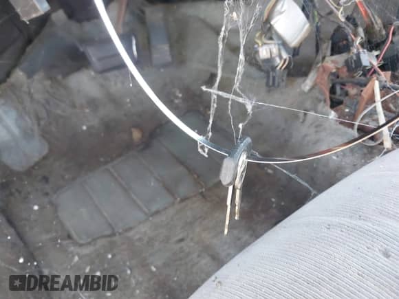 1991 Chevrolet Cavalier с VIN 1G1JC54G4MJ105486, выставлен на аукционе IAAI как лот 42150499 с пробегом 160 796 миль миль и . История ставок и продаж доступна на DreamBid. Изображение 11.