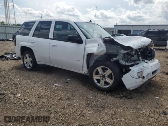 2008 Chevrolet TrailBlazer 2LT с VIN 1GNDS13S182138930, выставлен на аукционе Copart как лот 65026905 с пробегом 314 782 миль миль и Списание • Salvage title. История ставок и продаж доступна на DreamBid. Изображение 4.