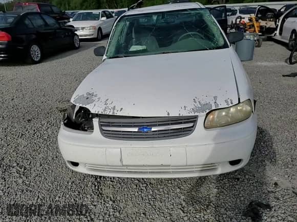 2005 Chevrolet Malibu Classic z VIN 1G1ND52FX5M232641, wystawiony jako Copart lot #51670605 z przebiegiem 149 973 mil mil oraz Nie do naprawy • Non repairable. Historia ofert i sprzedaży dostępna na DreamBid. Obrazek 11.
