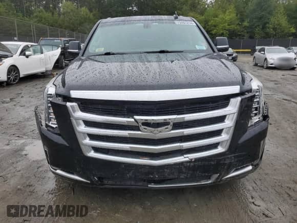 2017 Cadillac Escalade with VIN 1GYS4GKJ9HR142487, listed as a Copart auction lot 73407214 with 178,710 mi miles and Salvage title. Bid and sale history available at DreamBid. Image 5.