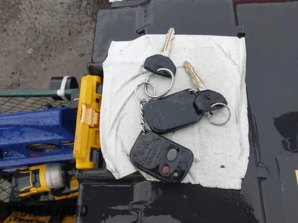 1994 Dodge Dakota z VIN 1B7GG23X5RW114066, wystawiony jako IAAI lot #43518966 z przebiegiem 246 882 mil mil oraz . Historia ofert i sprzedaży dostępna na DreamBid. Obrazek 11.