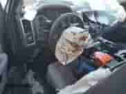 2019 Ram 1500 Warlock z VIN 1C6RR7GG5KS639434, wystawiony jako Copart lot #56520185 z przebiegiem Nie podano mil oraz Szkoda całkowita • Salvage title. Historia ofert i sprzedaży dostępna na DreamBid. Obrazek 8.