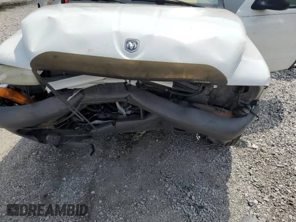 2003 Dodge Dakota Sport with VIN 1D7HL38X93S351601, listed as a Copart auction lot 72060555 with Not provided miles and Clean title. Bid and sale history available at DreamBid. Image 11.