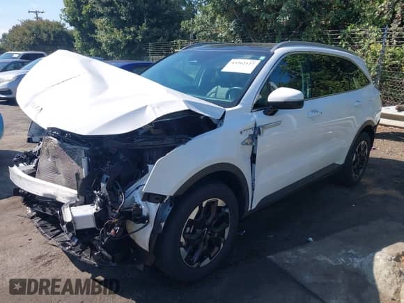 2024 Kia Sorento S with VIN 5XYRL4JC3RG305515, listed as a IAAI auction lot 43262127 with 30,645 mi miles and . Bid and sale history available at DreamBid. Image 19.