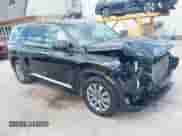 2023 Hyundai Palisade SE с VIN KM8R1DGE2PU533625, выставлен на аукционе IAAI как лот 43095446 с пробегом 53 479 миль миль и . История ставок и продаж доступна на DreamBid. Изображение 1.