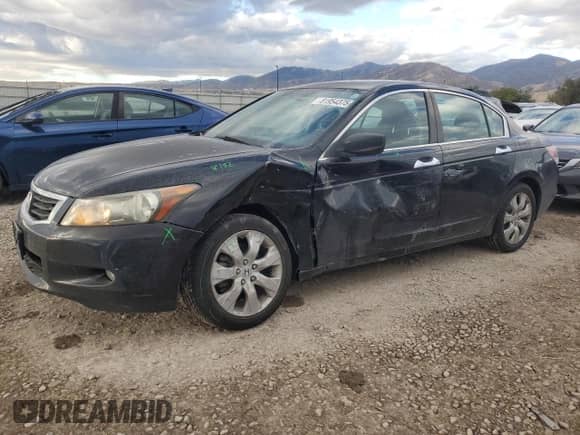 2009 Honda Accord EX with VIN 1HGCP36789A018415, listed as a Copart auction lot 81954375 with 141,842 mi miles and Salvage title. Bid and sale history available at DreamBid. Image 1.