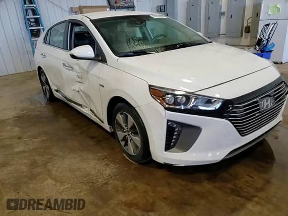 2019 Hyundai Ioniq Limited with VIN KMHC75LD1KU172405, listed as a Copart auction lot 57291035 with 73,835 mi miles and Salvage title. Bid and sale history available at DreamBid. Image 13.