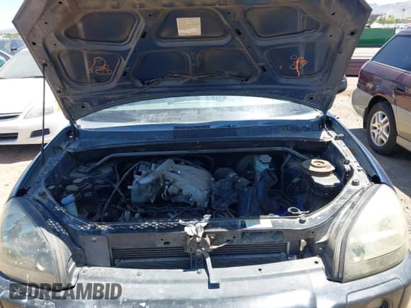 2007 Hyundai Tucson SE z VIN KM8JN12D47U488573, wystawiony jako IAAI lot #42347351 z przebiegiem 215 556 mil mil oraz . Historia ofert i sprzedaży dostępna na DreamBid. Obrazek 10.