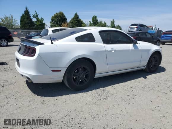 2014 Ford Mustang V6 with VIN 1ZVBP8AM0E5239768, listed as a Copart auction lot 65407285 with 195,341 mi miles and Salvage title. Bid and sale history available at DreamBid. Image 3.