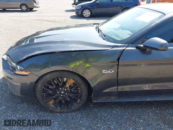 2020 Ford Mustang GT with VIN 1FA6P8CF0L5129261, listed as a IAAI auction lot 42664085 with 45,213 mi miles and . Bid and sale history available at DreamBid. Image 16.