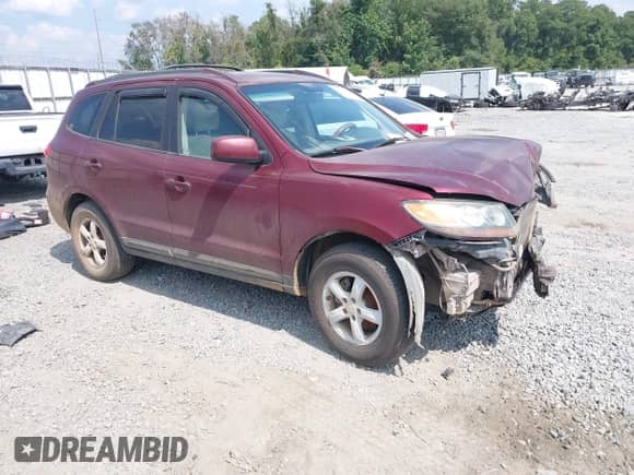 2007 Hyundai Santa Fe GLS with VIN 5NMSG13D17H058007, listed as a IAAI auction lot 43218830 with 275,035 mi miles and . Bid and sale history available at DreamBid. Image 1.