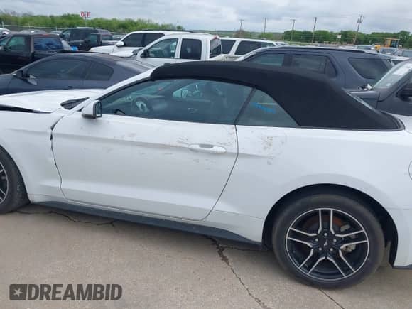 2023 Ford Mustang EcoBoost with VIN 1FATP8UH8P5111289, listed as a IAAI auction lot 41125373 with 13,219 mi miles and . Bid and sale history available at DreamBid. Image 15.
