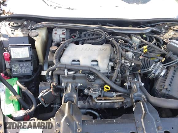 2000 Chevrolet Monte Carlo LS с VIN 2G1WW12E8Y9234789, выставлен на аукционе IAAI как лот 41388309 с пробегом 84 029 миль миль и . История ставок и продаж доступна на DreamBid. Изображение 10.