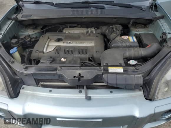 2006 Hyundai Tucson GL z VIN KM8JM12B86U436413, wystawiony jako Copart lot #69462885 z przebiegiem 156 051 mil mil oraz Szkoda całkowita • Salvage title. Historia ofert i sprzedaży dostępna na DreamBid. Obrazek 12.