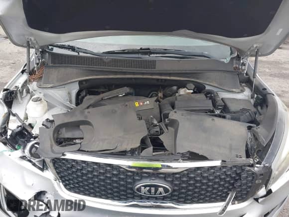 2016 Kia Sorento L with VIN 5XYPG4A33GG070820, listed as a IAAI auction lot 43405897 with 69,346 mi miles and . Bid and sale history available at DreamBid. Image 10.