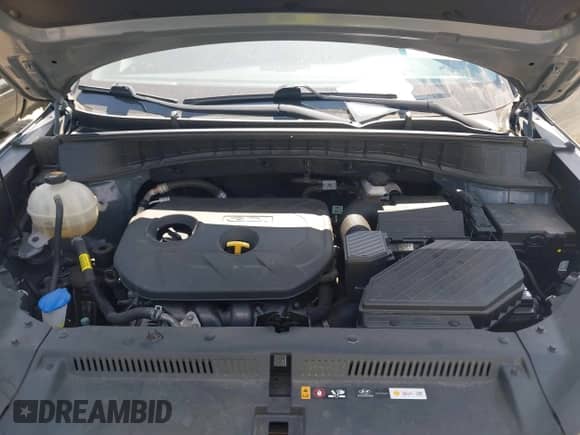 2018 Hyundai Tucson SEL с VIN KM8J33A41JU694511, выставлен на аукционе IAAI как лот 43272396 с пробегом 150 323 миль миль и . История ставок и продаж доступна на DreamBid. Изображение 10.