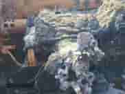 2024 Mazda CX-5 S Select with VIN JM3KFBBL3R0457870, listed as a Copart auction lot 90462355 with Not provided miles and Non repairable. Bid and sale history available at DreamBid. Image 9.