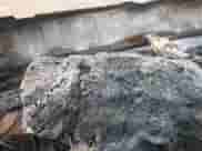 2022 Toyota Tundra SR5 with VIN 5TFLA5DB6NX007701, listed as a IAAI auction lot 42921508 with 14,189 mi miles and . Bid and sale history available at DreamBid. Image 7.