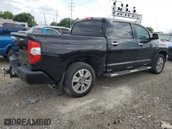 2016 Toyota Tundra Platinum with VIN 5TFGW5F13GX193286, listed as a Copart auction lot 56294934 with Not provided miles and Clean title. Bid and sale history available at DreamBid. Image 3.