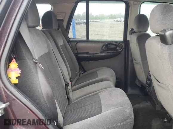 2008 Chevrolet TrailBlazer 1LT z VIN 1GNDT13S482153886, wystawiony jako Copart lot #55815595 z przebiegiem 227 022 mil mil oraz Szkoda całkowita • Salvage title. Historia ofert i sprzedaży dostępna na DreamBid. Obrazek 11.