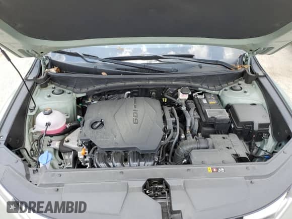 2023 Hyundai Santa Cruz SEL с VIN 5NTJBDAE1PH070279, выставлен на аукционе Copart как лот 57502984 с пробегом 8 751 миль миль и Списание • Salvage title. История ставок и продаж доступна на DreamBid. Изображение 11.