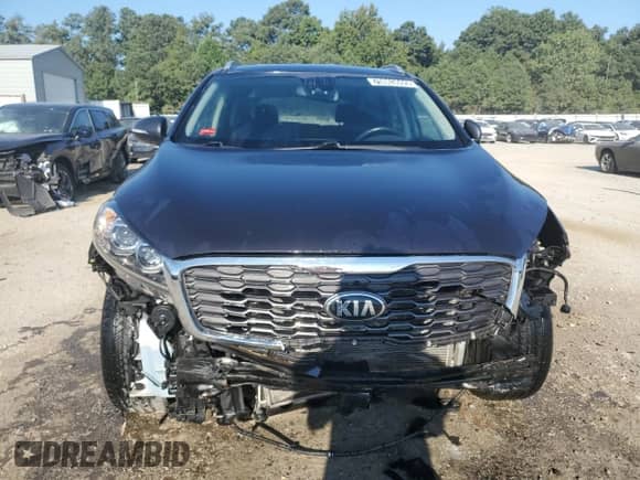 2019 Kia Sorento EX with VIN 5XYPH4A59KG518534, listed as a Copart auction lot 70863695 with 46,483 mi miles and Clean title. Bid and sale history available at DreamBid. Image 5.
