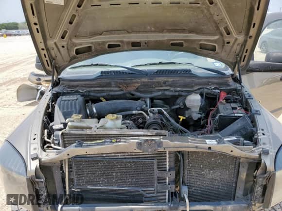 2006 Dodge 1500 SLT с VIN 3D7KS19D16G240926, выставлен на аукционе Copart как лот 57387745 с пробегом 262 708 миль миль и Списание • Salvage title. История ставок и продаж доступна на DreamBid. Изображение 11.