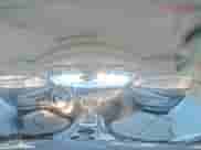 2011 Chevrolet Camaro 2SS z VIN 2G1FK1EJ8B9107388, wystawiony jako Copart lot #82727055 z przebiegiem 52 601 mil mil oraz Szkoda całkowita • Salvage title. Historia ofert i sprzedaży dostępna na DreamBid. Obrazek 14.