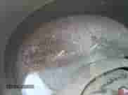 2004 Chevrolet S-10 LS with VIN 1GCDT13X44K152039, listed as a Copart auction lot 61347034 with Not provided miles and Non repairable. Bid and sale history available at DreamBid. Image 9.