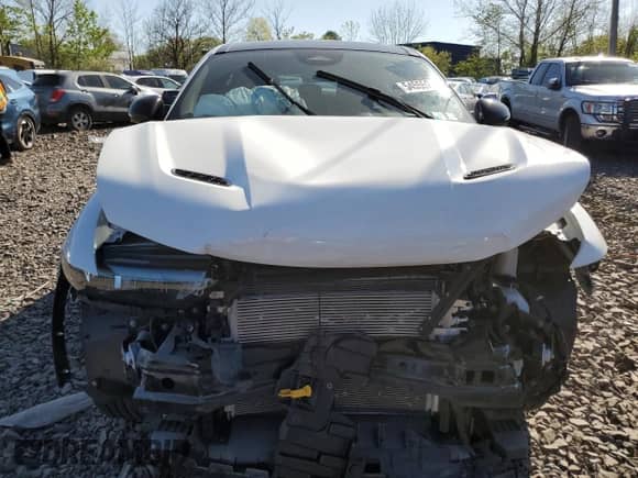 2024 Dodge Hornet GT Plus with VIN ZACNDFBN9R3A26665, listed as a Copart auction lot 54555225 with 8,453 mi miles and Salvage title. Bid and sale history available at DreamBid. Image 5.