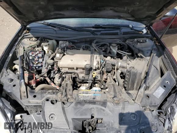 2009 Chevrolet Impala LT with VIN 2G1WT57N891314523, listed as a Copart auction lot 80195415 with 139,605 mi miles and Clean title. Bid and sale history available at DreamBid. Image 11.