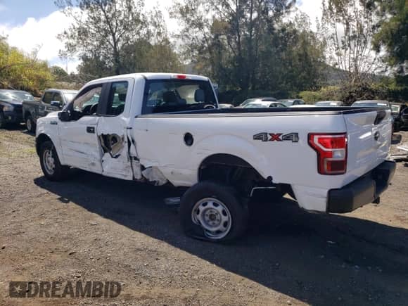 2018 Ford F-150 XL z VIN 1FTFX1EG0JKF61046, wystawiony jako Copart lot #59638125 z przebiegiem 170 220 mil mil oraz Szkoda całkowita • Salvage title. Historia ofert i sprzedaży dostępna na DreamBid. Obrazek 2.