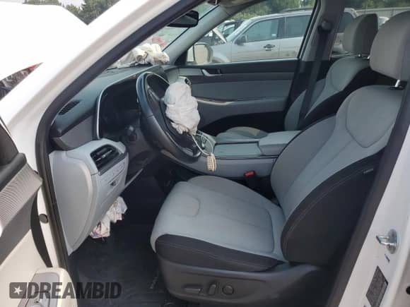 2022 Hyundai Palisade SEL с VIN KM8R3DHE5NU357482, выставлен на аукционе Copart как лот 66821425 с пробегом 55 485 миль миль и Списание • Salvage title. История ставок и продаж доступна на DreamBid. Изображение 7.