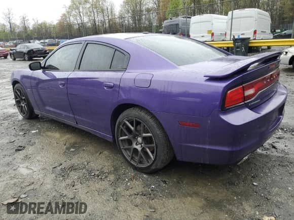 2014 Dodge Charger Road/Track with VIN 2C3CDXCT8EH159453, listed as a Copart auction lot 52098375 with 164,793 mi miles and Salvage title. Bid and sale history available at DreamBid. Image 2.