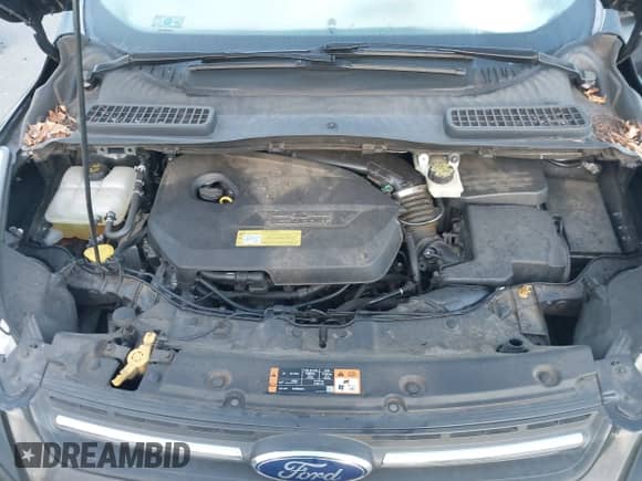 2014 Ford Escape SE с VIN 1FMCU0GX5EUC64962, выставлен на аукционе IAAI как лот 43381059 с пробегом 63 182 миль миль и . История ставок и продаж доступна на DreamBid. Изображение 10.