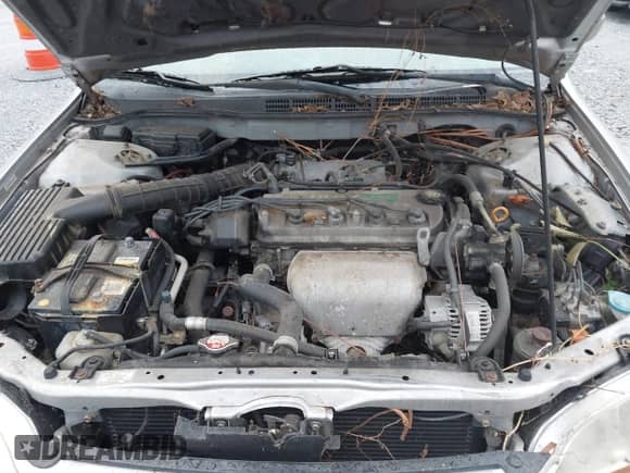 2001 Honda Accord EX with VIN JHMCG66841CO18539, listed as a IAAI auction lot 42799453 with Not provided miles and . Bid and sale history available at DreamBid. Image 10.